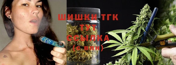 молекула духа Абинск